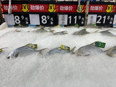 冷鏈產品還能買嗎？記者實探 有菜場停售進口海鮮，部分商超啟用水產品“身份證”