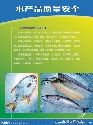 水產品設計圖 從海洋到餐桌的藝術與科學